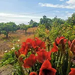 Dolores En Adeje Tatil Evi